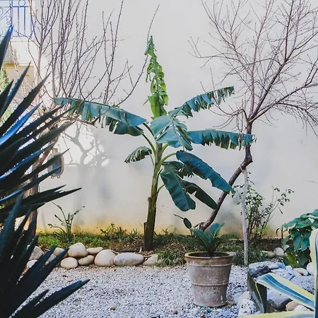 Tatil Evi Stylish Garden